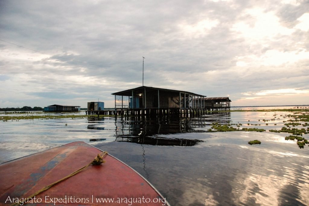 Taman Nasional Ciénagas del Catatumbo Di Venezuela11