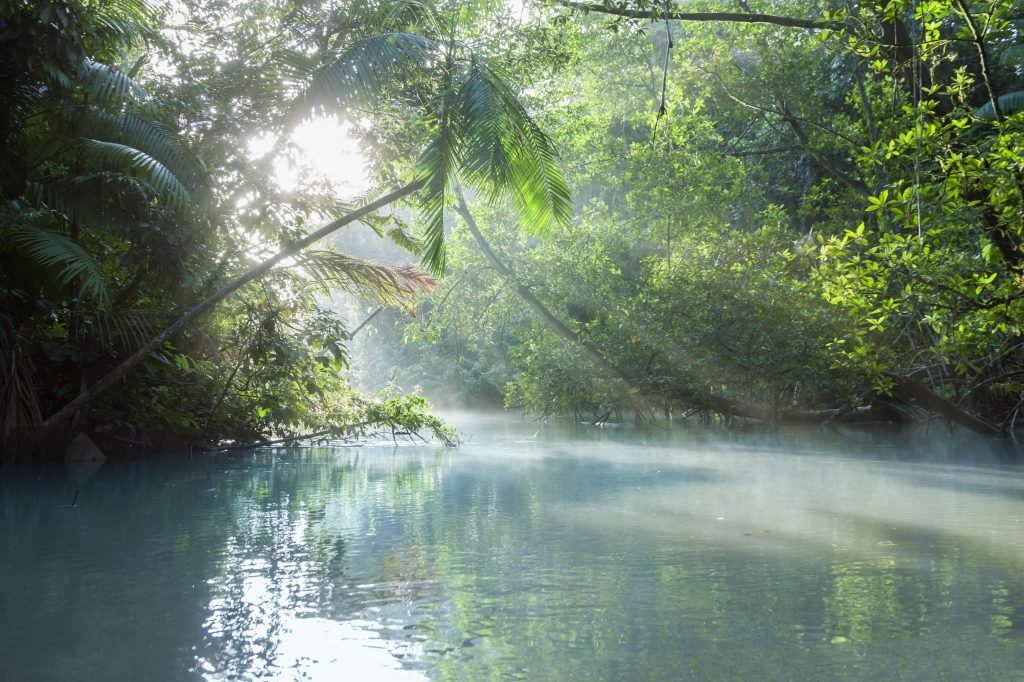 Taman Nasional Cueva del Guácharo Di Venezuela11