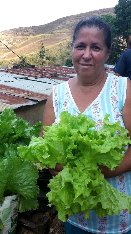 Menghadapi Kekurangan Pangan, Venezuela Mendorong Kebun Kota