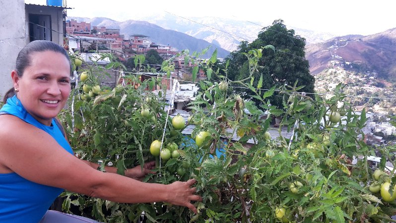 Menghadapi Kekurangan Pangan, Venezuela Mendorong Kebun Kota