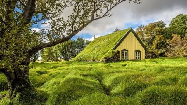 Misteri Rumah-rumah di Venezuela Dimakan Lumpur dan Rumput
